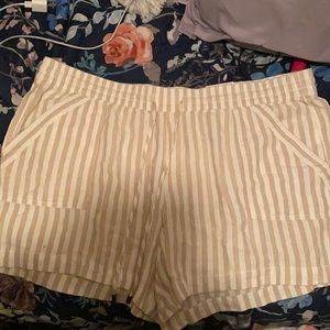 St Johns bay shorts